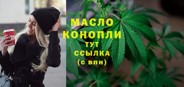 дмт Алексин