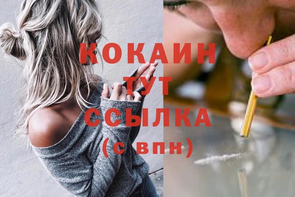 соль ск Алексеевка