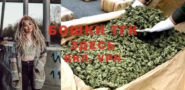 индика Пестово