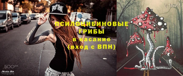 дмт Алексин