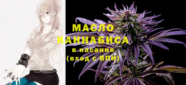 дмт Алексин