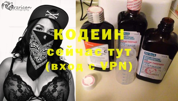 индика Пестово