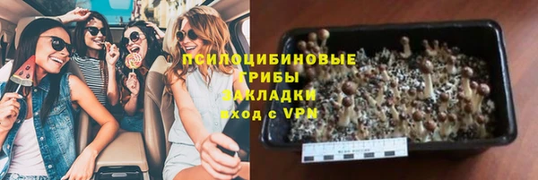 соль ск Алексеевка