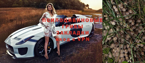 соль ск Алексеевка