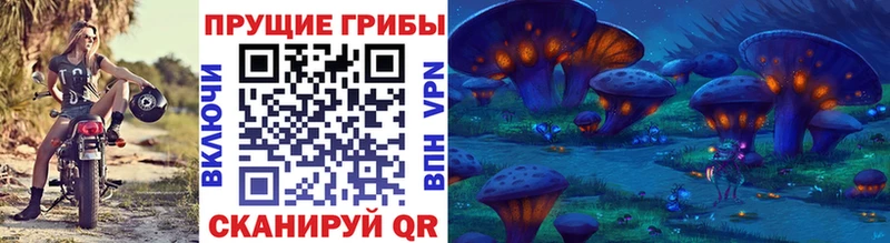 купить   Энгельс  Псилоцибиновые грибы Psilocybine cubensis 